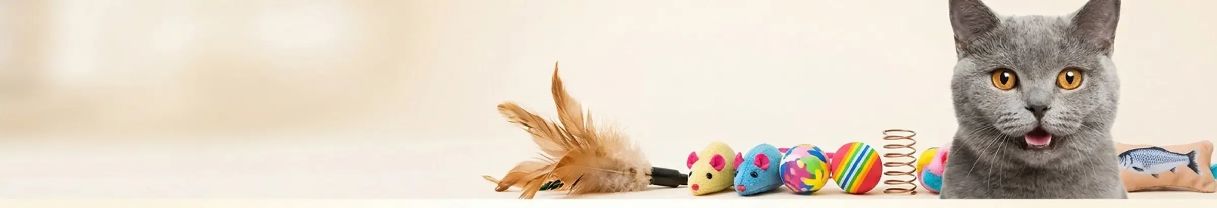 Pounce & Play — Feline Fun