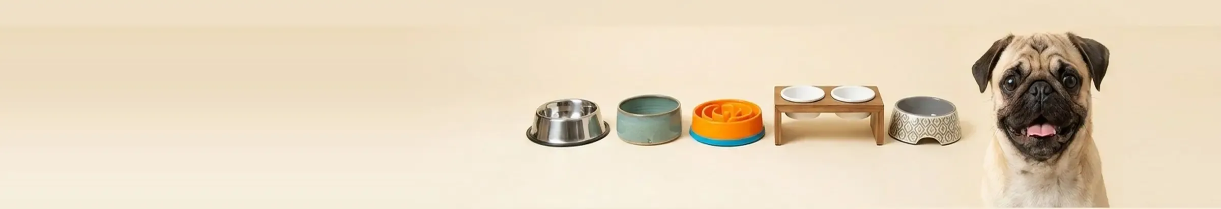Bowls & Feeders — Mealtime Sorted