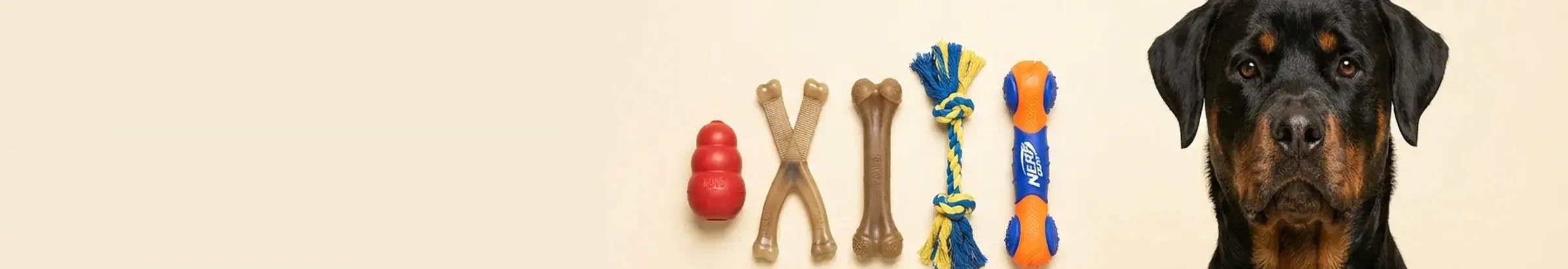 Chew & Play — Built to Last