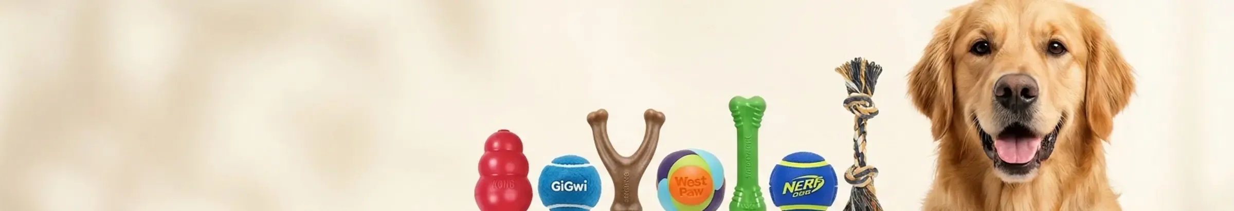 Fetch & Fun — Playtime
