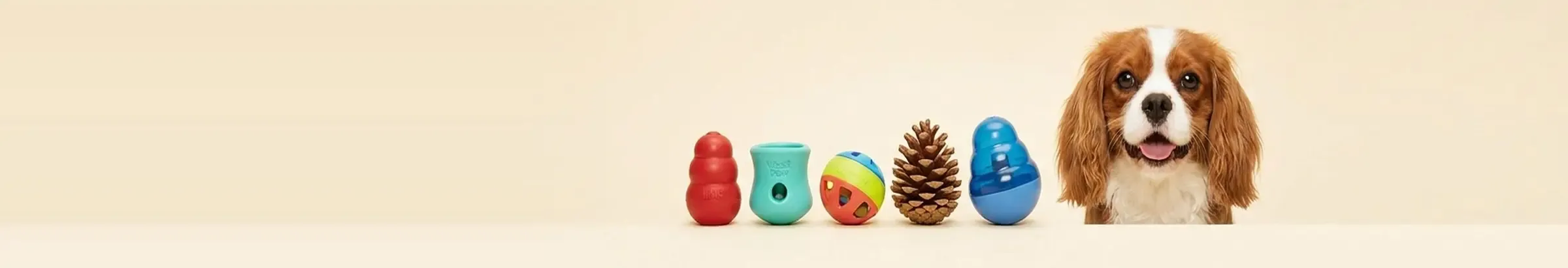 Treat Dispensers — Boredom Busters
