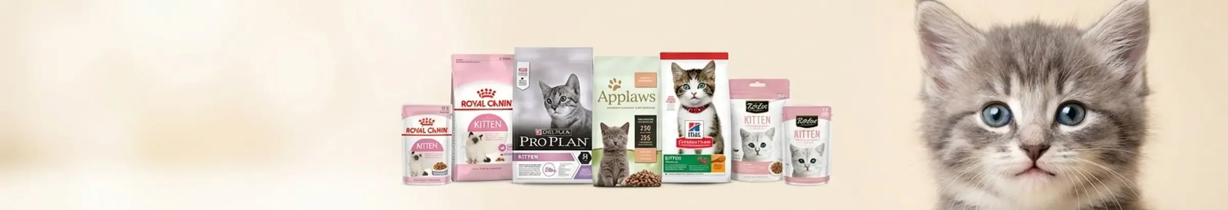 Kitten Care — Growing Strong