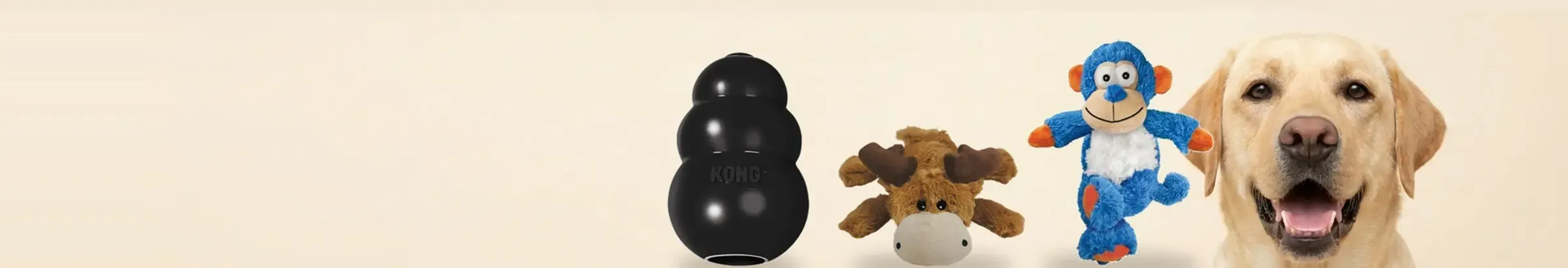 KONG